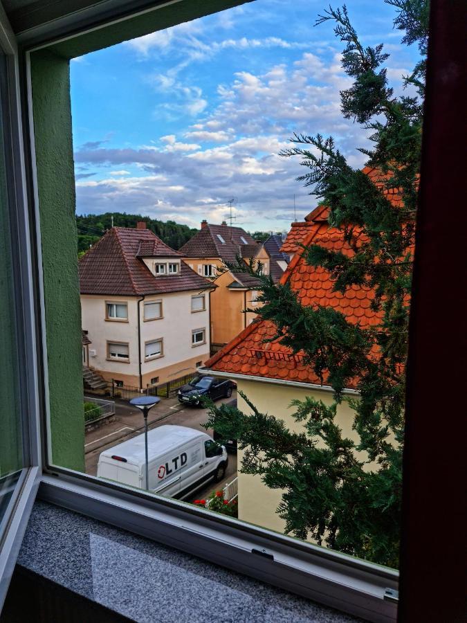 Pension Transilvania Immendingen Экстерьер фото