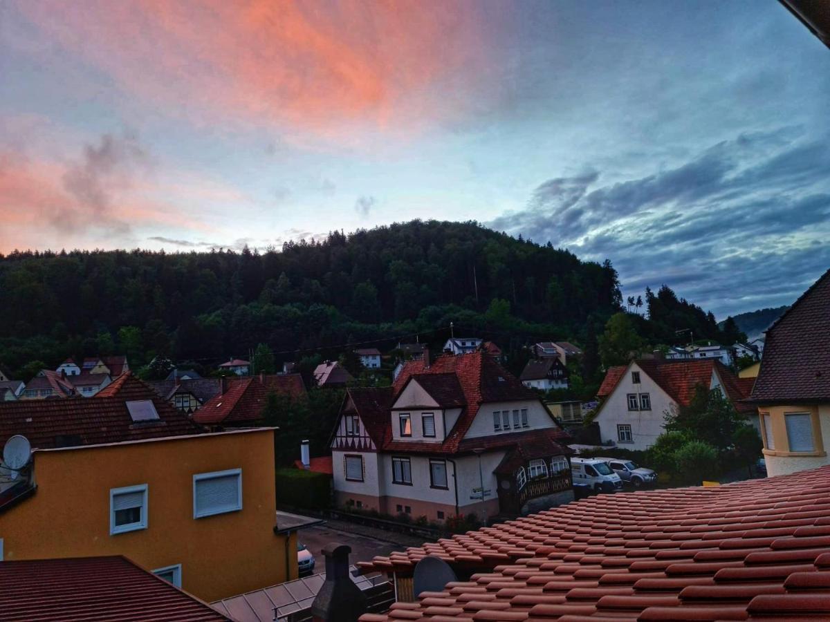 Pension Transilvania Immendingen Экстерьер фото