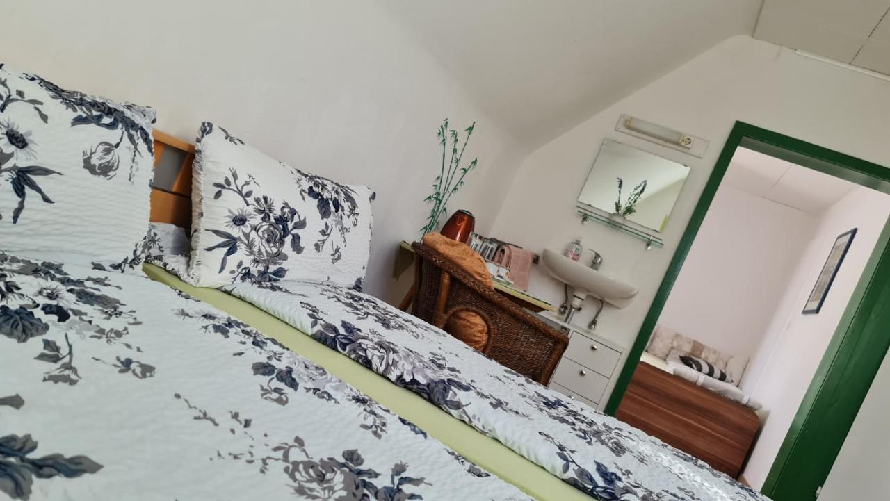 Pension Transilvania Immendingen Экстерьер фото
